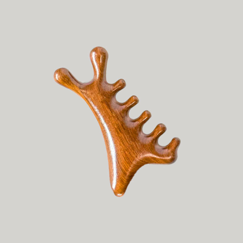 Hårborste för utredning av tovor - 4-i-1 hårbottenmassage och stylingkam