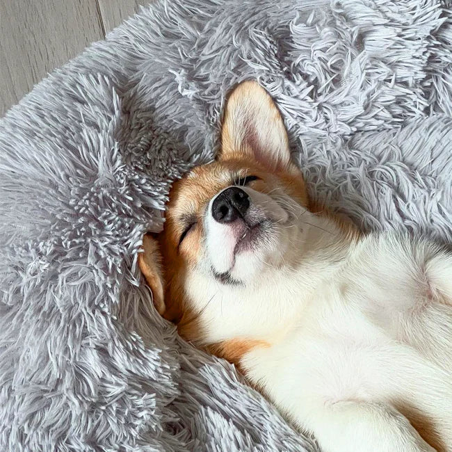 Rund komforthundbädd – plyschig kudde med halkfri botten för vardaglig vila