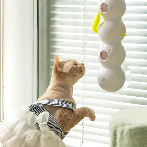 Automatisk kattleksak – Livlig maskrörelse interaktiv lek för oändlig kattlek