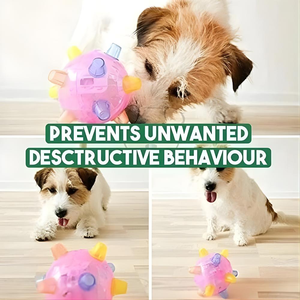 Studsande LED-tuggboll – Interaktiv rolig leksak för hundar i alla storlekar