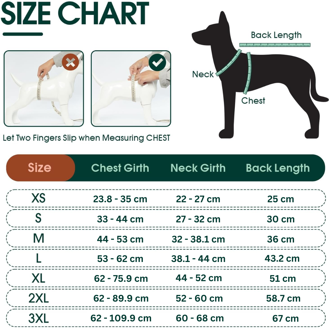 Allvädersjacka för hund – Vattentät och vindtät komfort