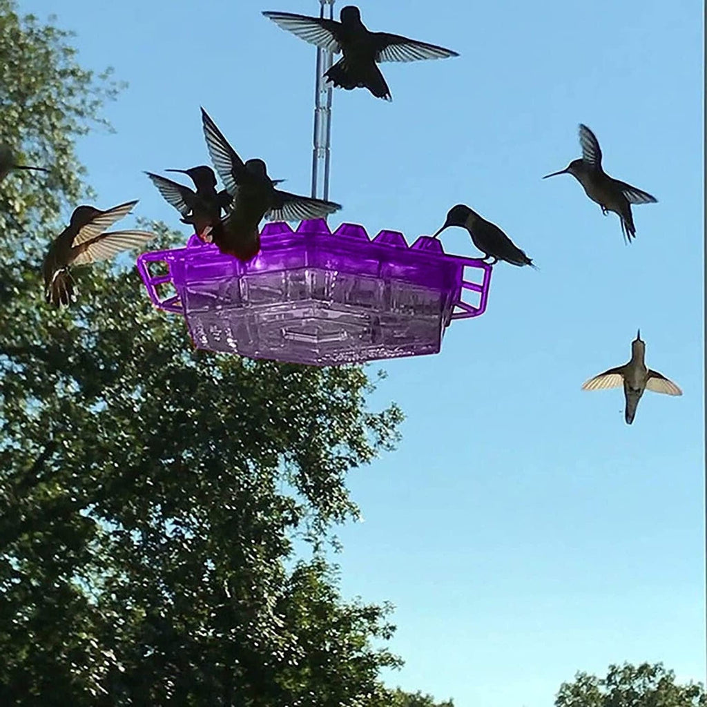 Myrresistent nektarmatare – Kolibrimatare för trädgården