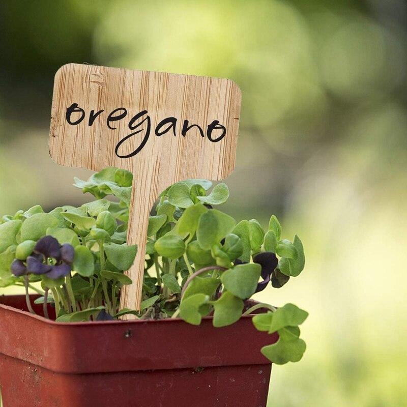 Etikett för träväxter