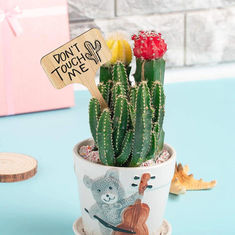 Etikett för träväxter