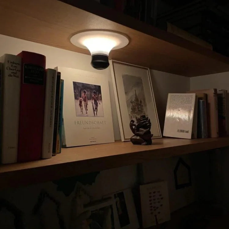 Uppladdningsbar suglampa