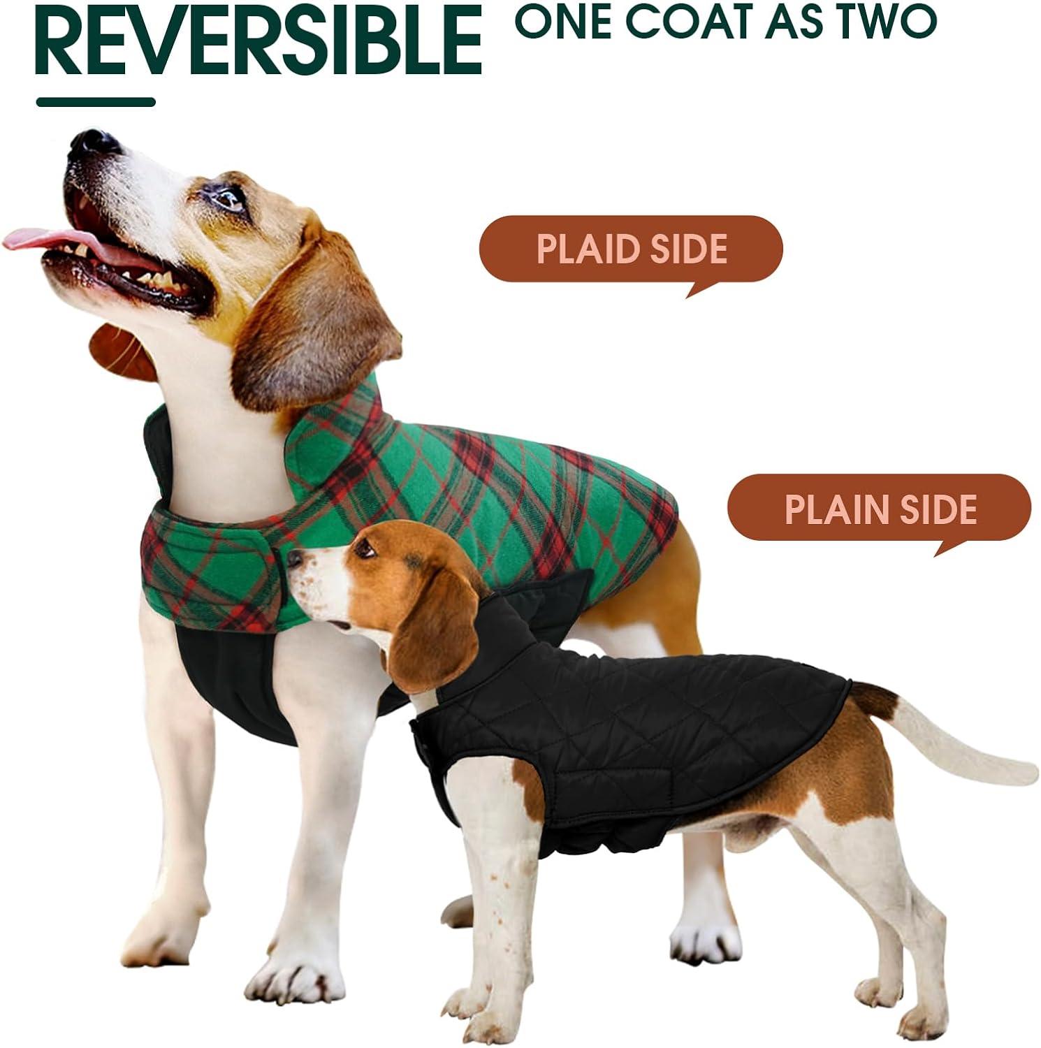 Allvädersjacka för hund – Vattentät och vindtät komfort