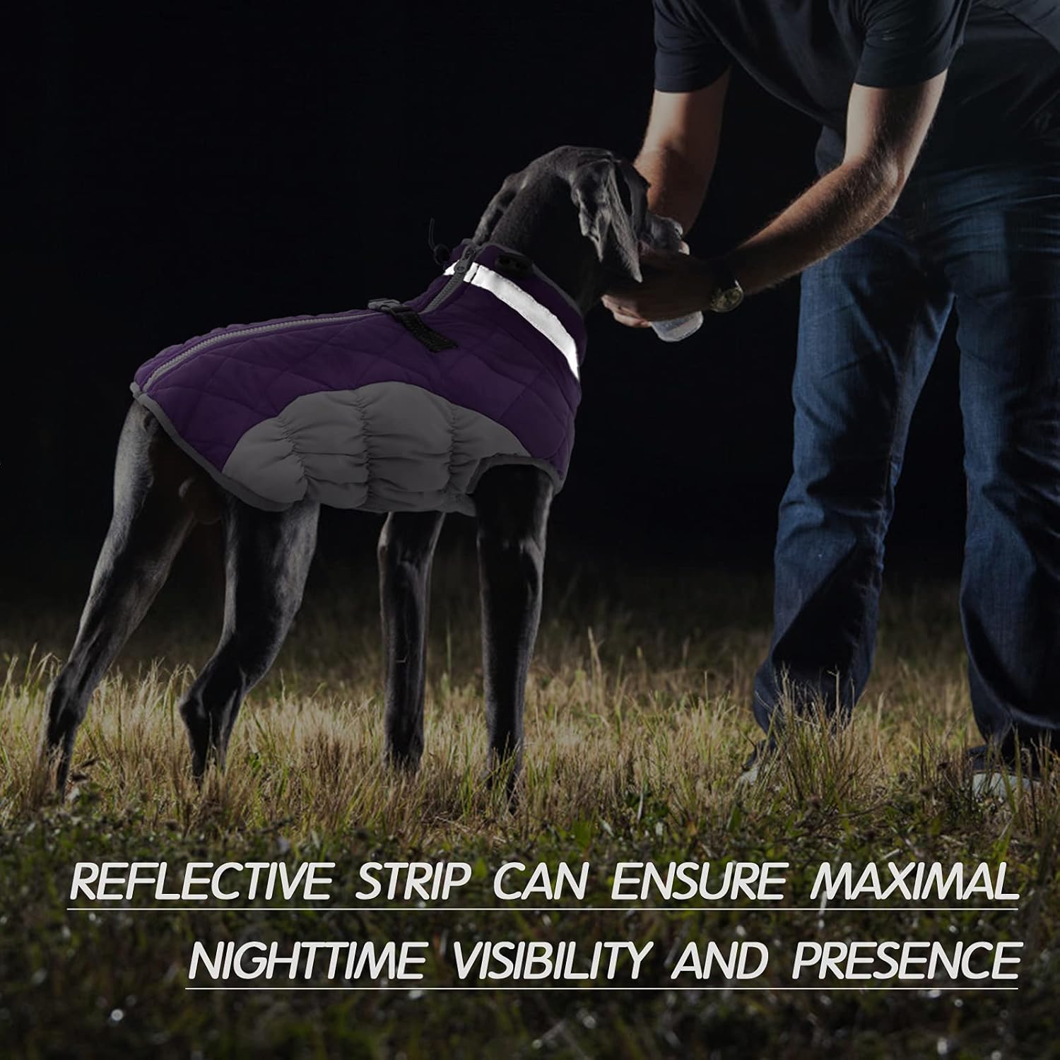 Mysig vinterjacka för valpar med integrerad sele – Håll dig varm och säker