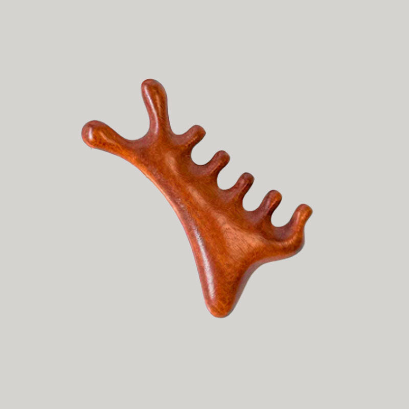 Hårborste för utredning av tovor - 4-i-1 hårbottenmassage och stylingkam