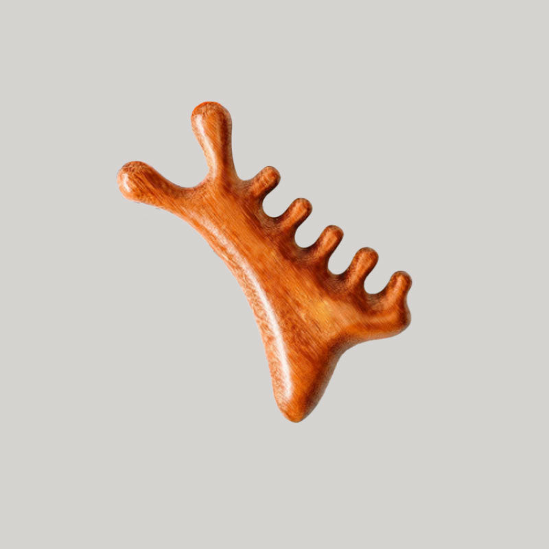 Hårborste för utredning av tovor - 4-i-1 hårbottenmassage och stylingkam