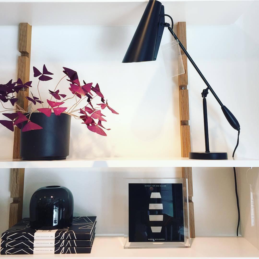 Naturinspirerad bordslampa – Snygg fågelbelysning