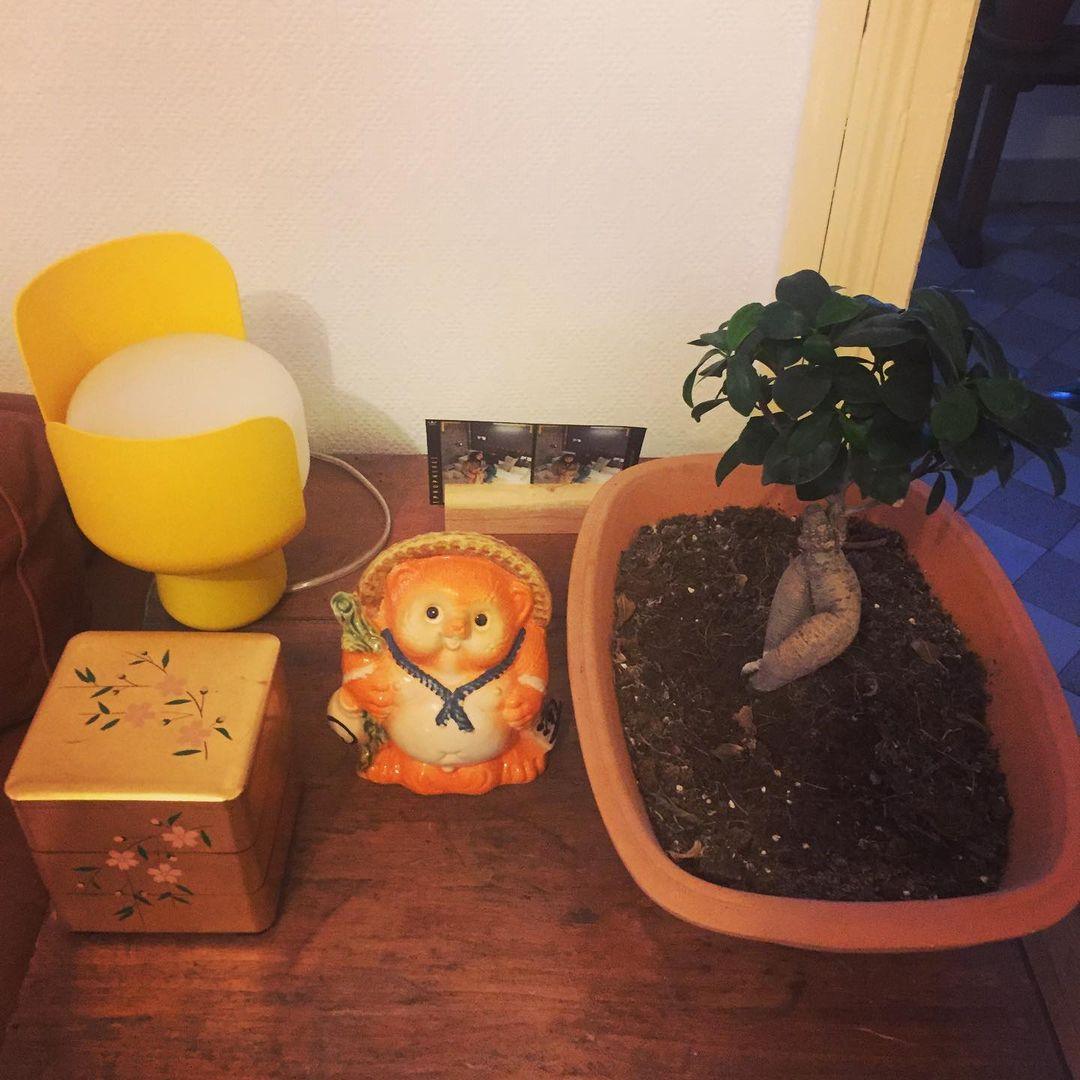 Lysande kronbladsinspirerad lampa – Handgjord bordslampa i glas för elegant inredning