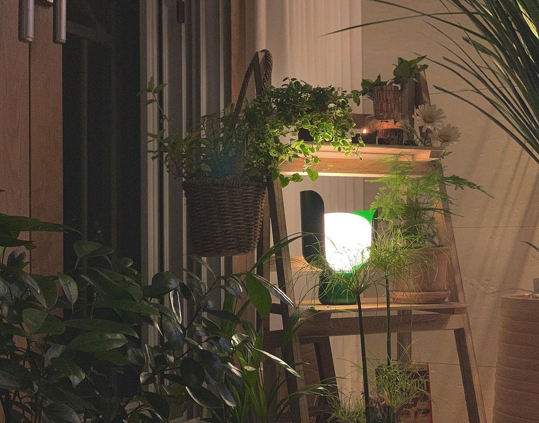 Lysande kronbladsinspirerad lampa – Handgjord bordslampa i glas för elegant inredning