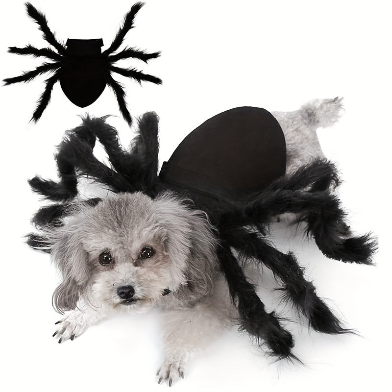 Läskig promenadhundkostym – Rolig Halloween-outfit för små husdjur