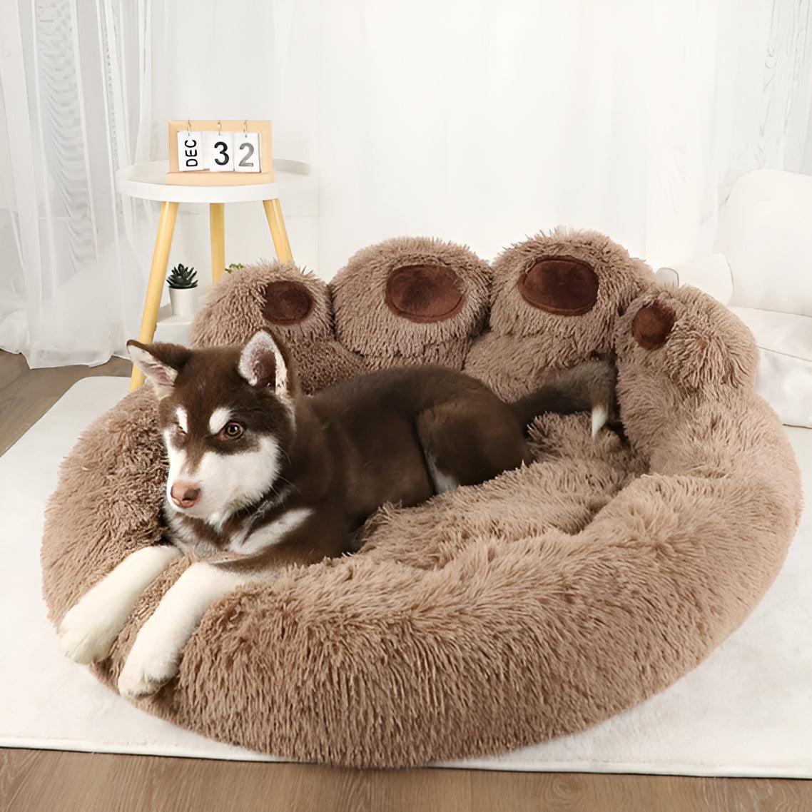 Luxe Plüsch Haustier Bett für Katzen & Hunde - Ein Snooze Haven für Ihren pelzigen Freund!