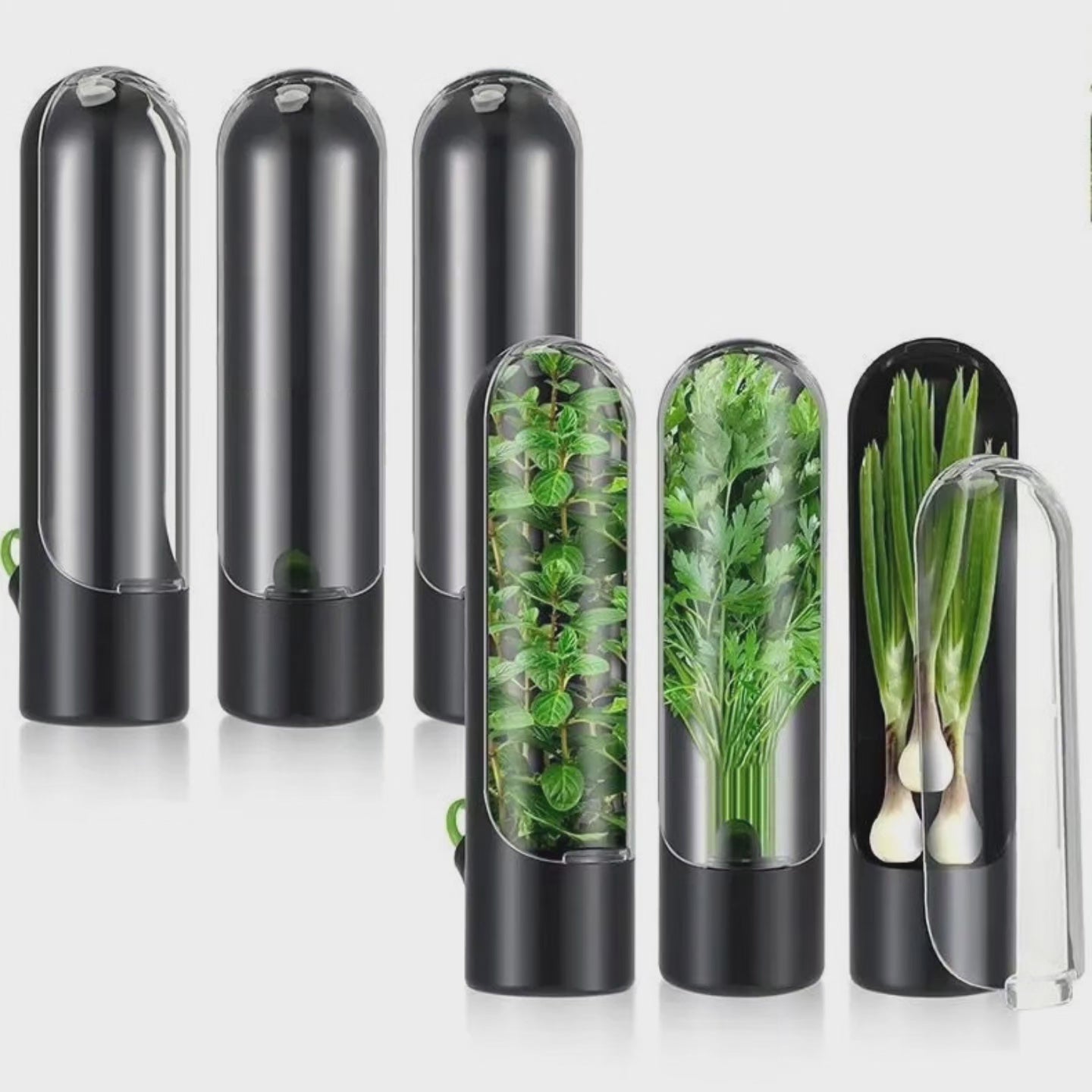 GreenHerbs - Färska örtförvarare