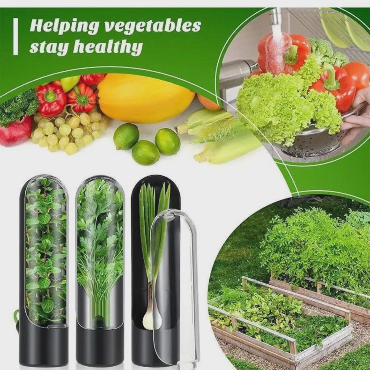 GreenHerbs - Färska örtförvarare