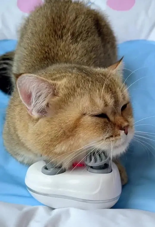 Avslappnande kattmassageverktyg - Skonsam husdjursmassage