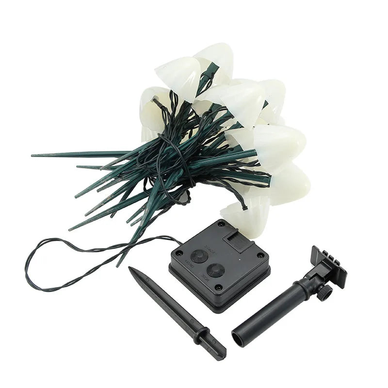 EnchantedCaps - Svampsträngsgräslampor