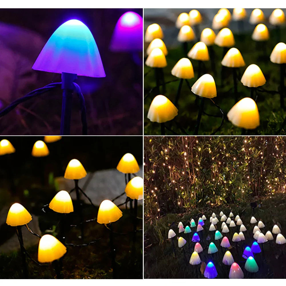 EnchantedCaps - Svampsträngsgräslampor