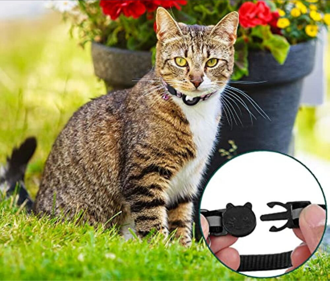 Reflekterande halsband för katt – justerbar säkerhetsrem för synlighet och komfort i mörker