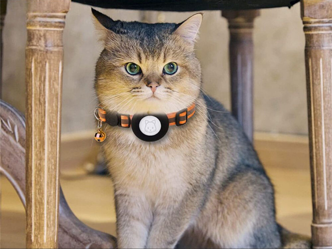 Reflekterande halsband för katt – justerbar säkerhetsrem för synlighet och komfort i mörker