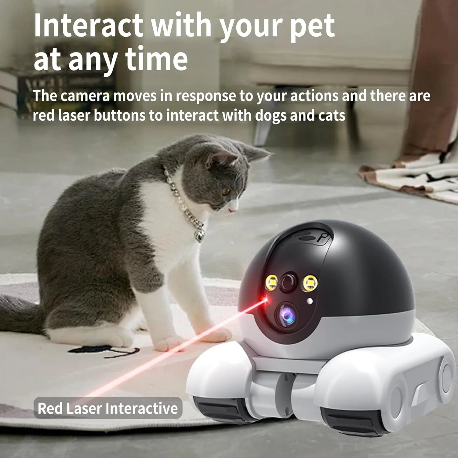 Smart AI-assistentbot – Din interaktiva följeslagare i hemmet