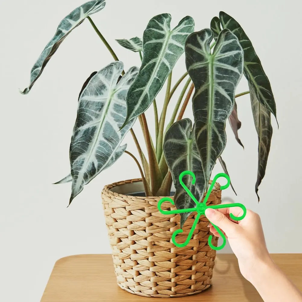 Stödset för växttillväxt – Håll stjälkarna upprätta och blomstrande