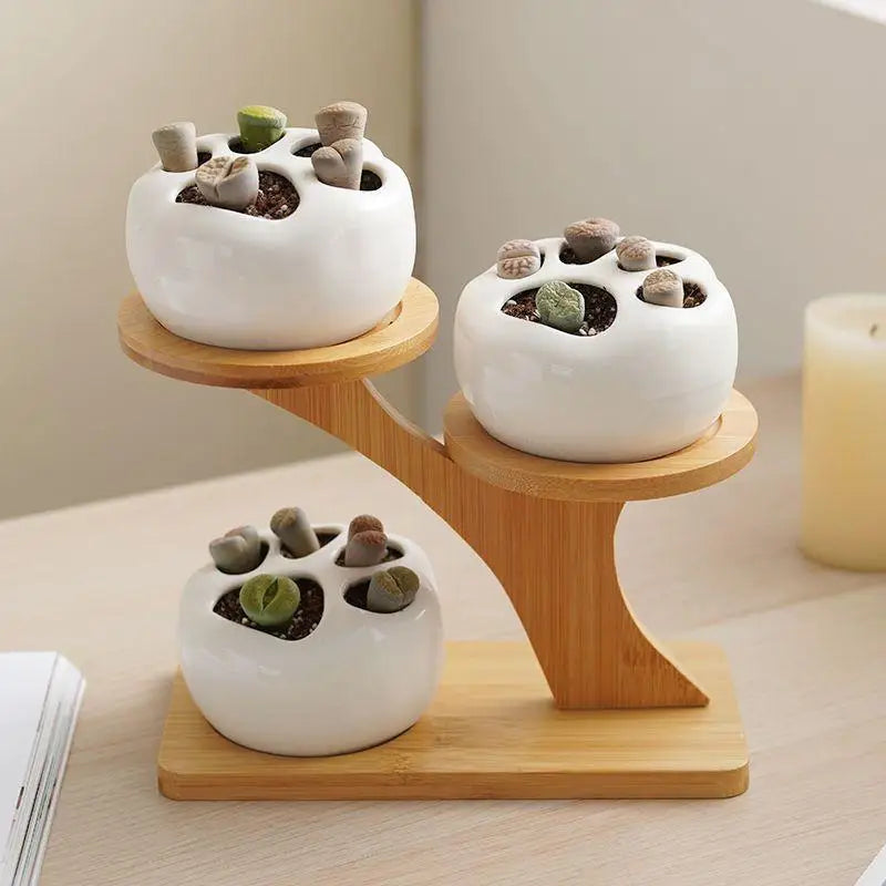 Miljövänlig bambuväxthylla – Snyggt displayställ för inomhus- och utomhusbruk