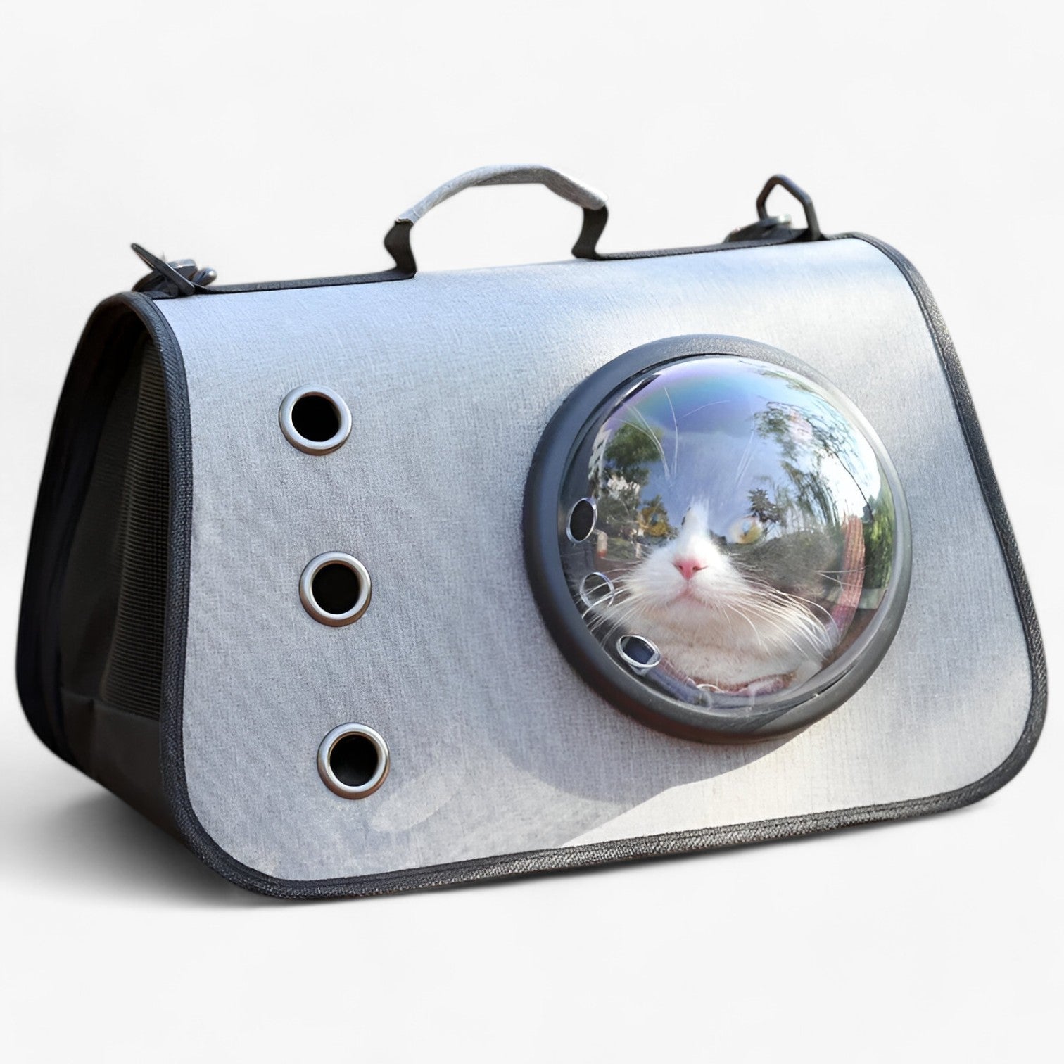 Transparent kattbärryggsäck – Luftig, bekväm reseväska
