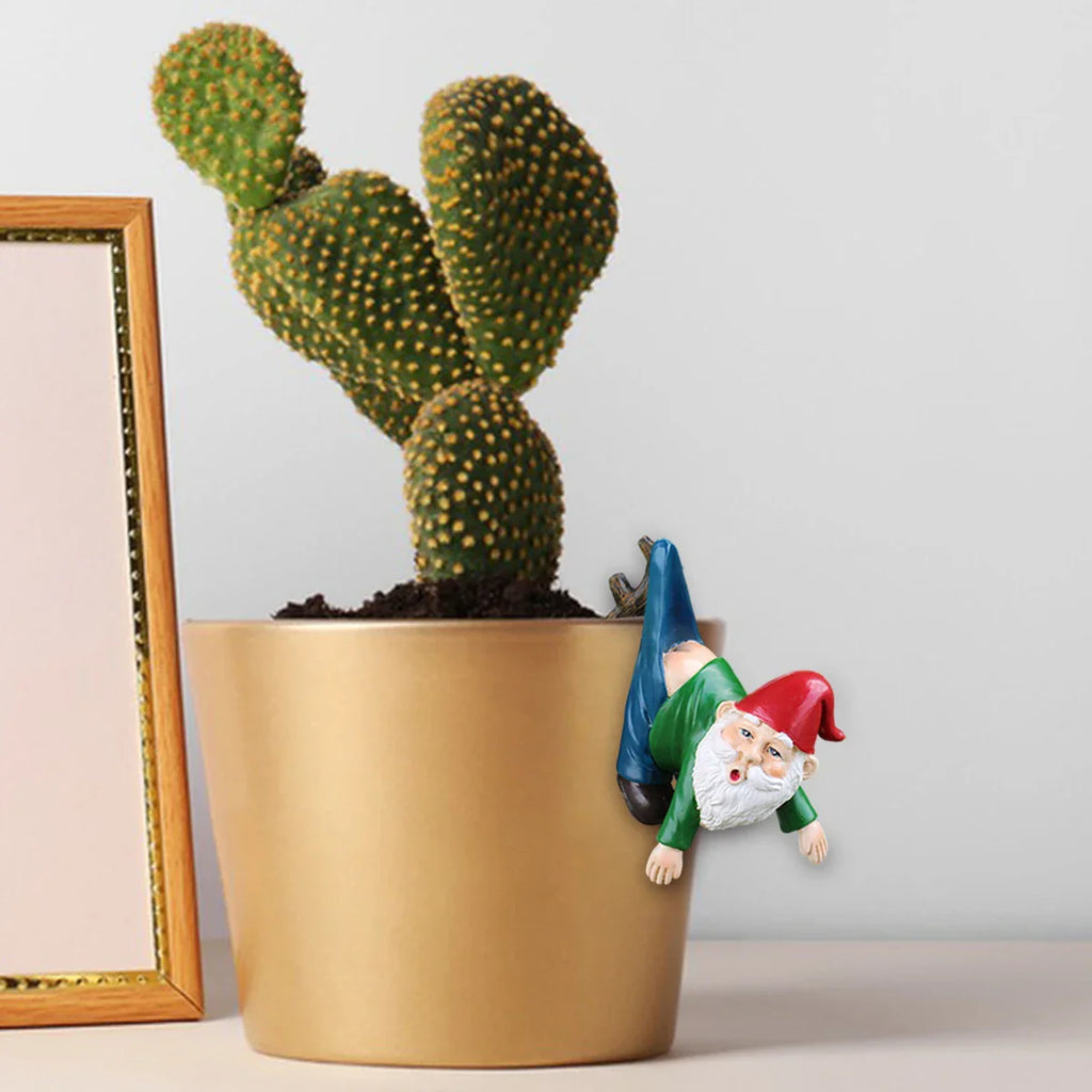 Nyckfull hängande tomteplanter – Lekfull trädgårds- och inomhusdekoration