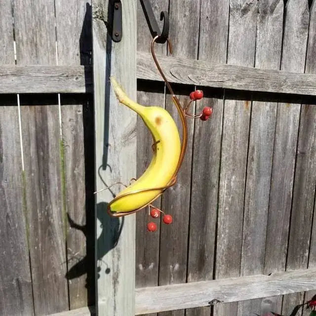 Bananhängare för fjärilar – Fruktmatare för utomhusbruk och trädgårdsdekoration för vilda djur