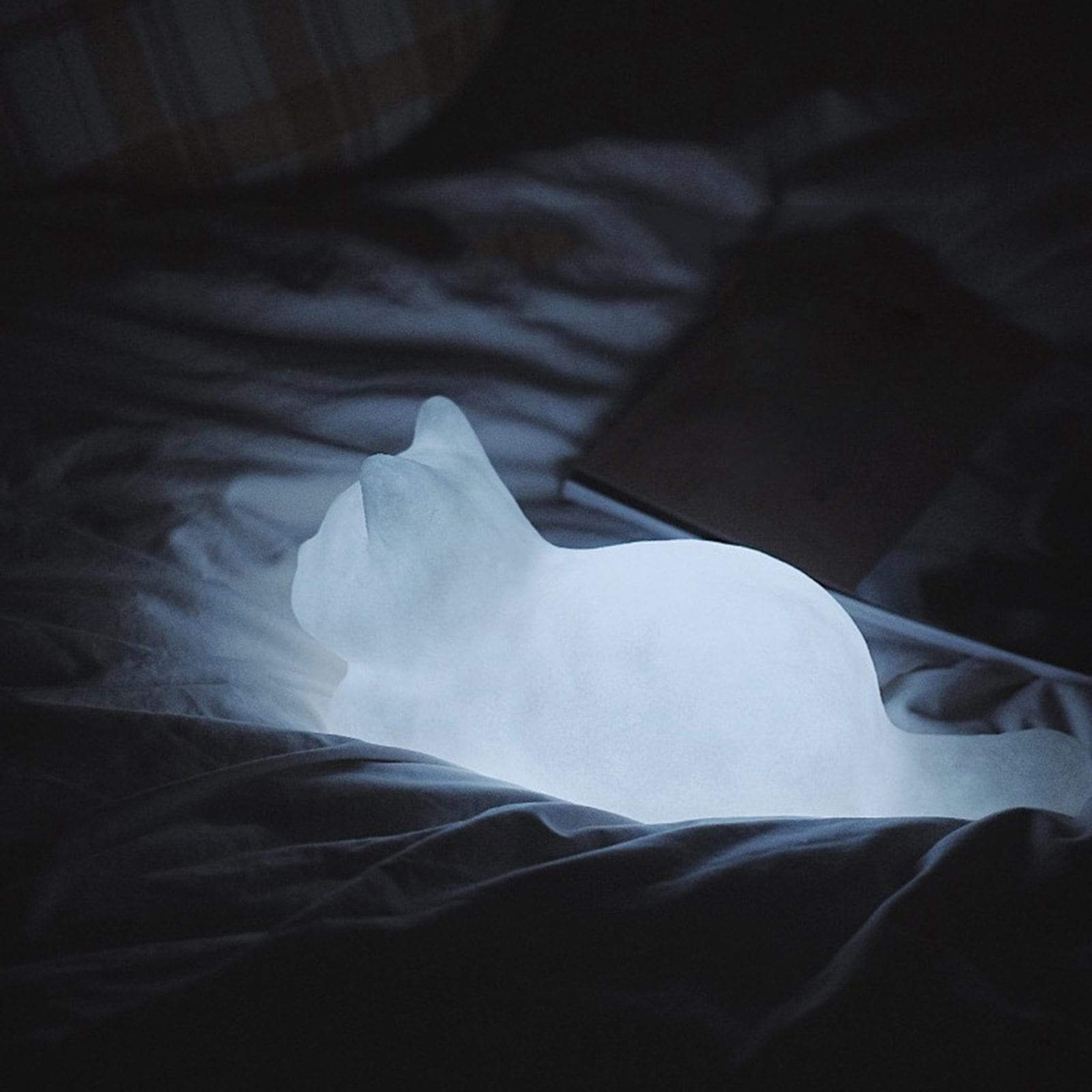 Bedårande kattnattlampa - Mjuk stämningsfull LED-lampa