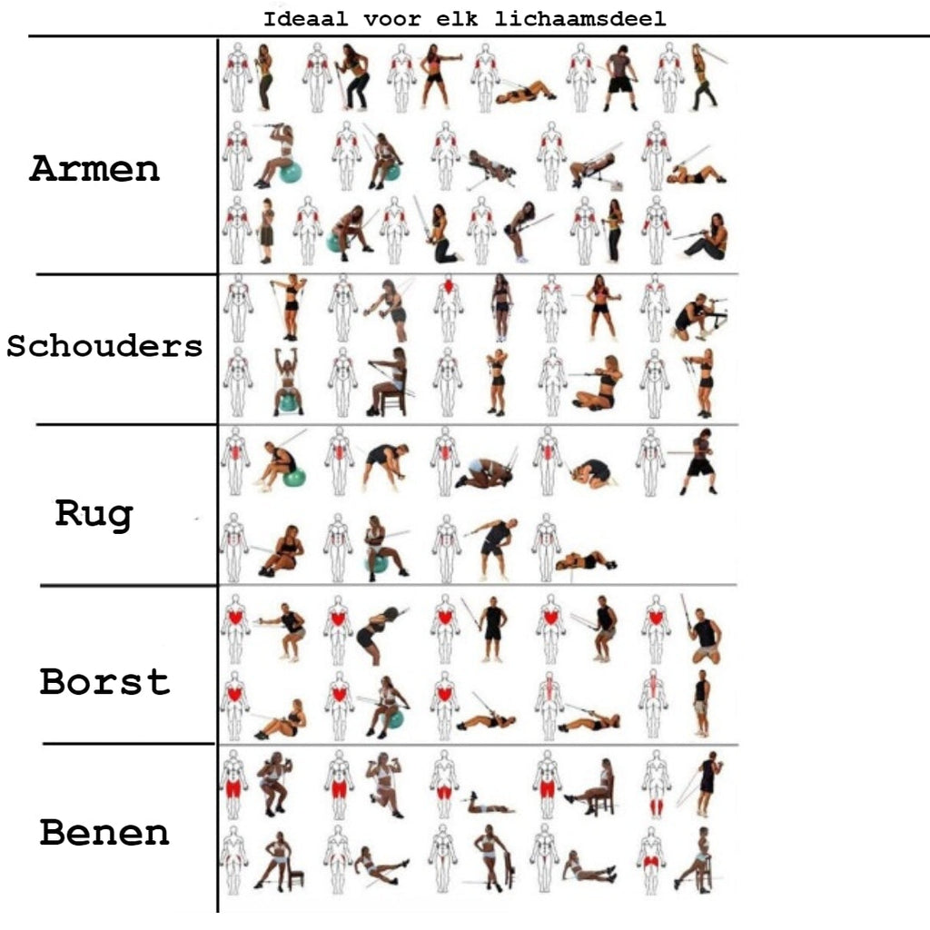 PowerFlex-motståndsband – Helkroppsstyrketräning för muskeluppbyggnad