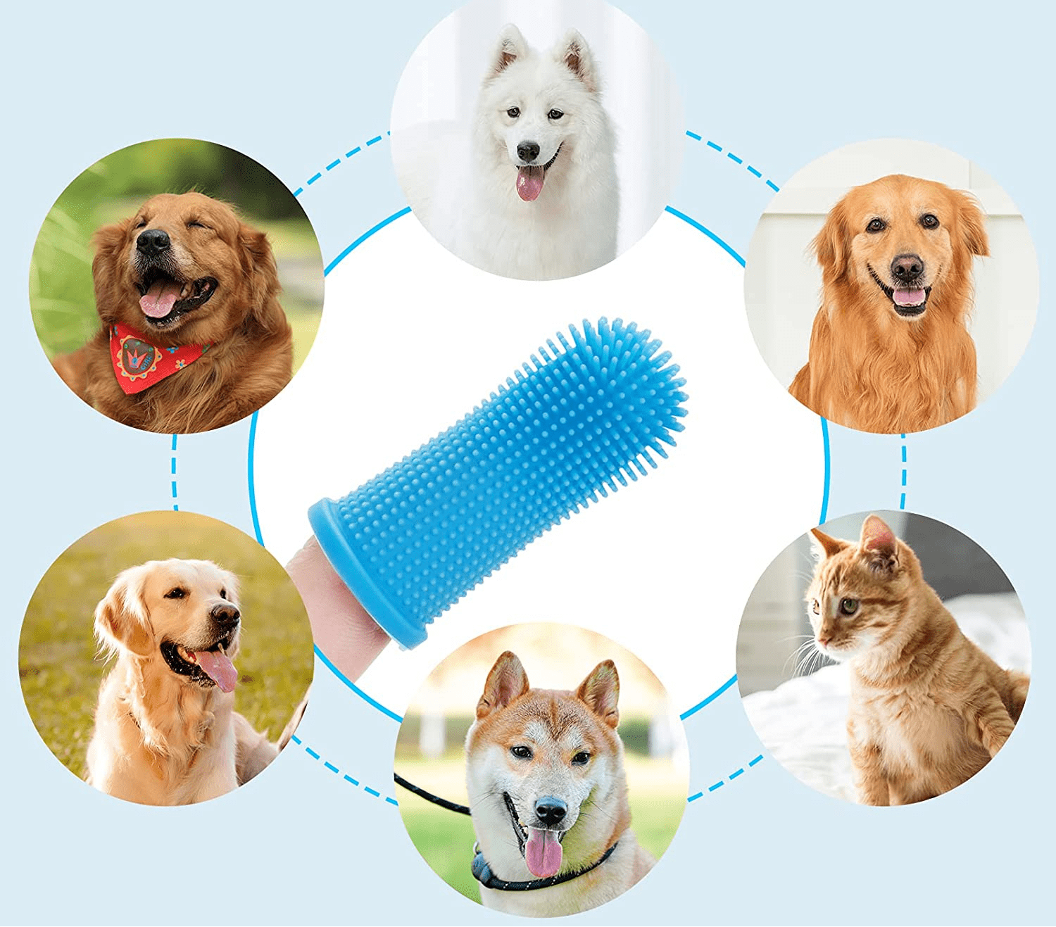 Hundtandborste – Skonsam, säker och problemfri munvård