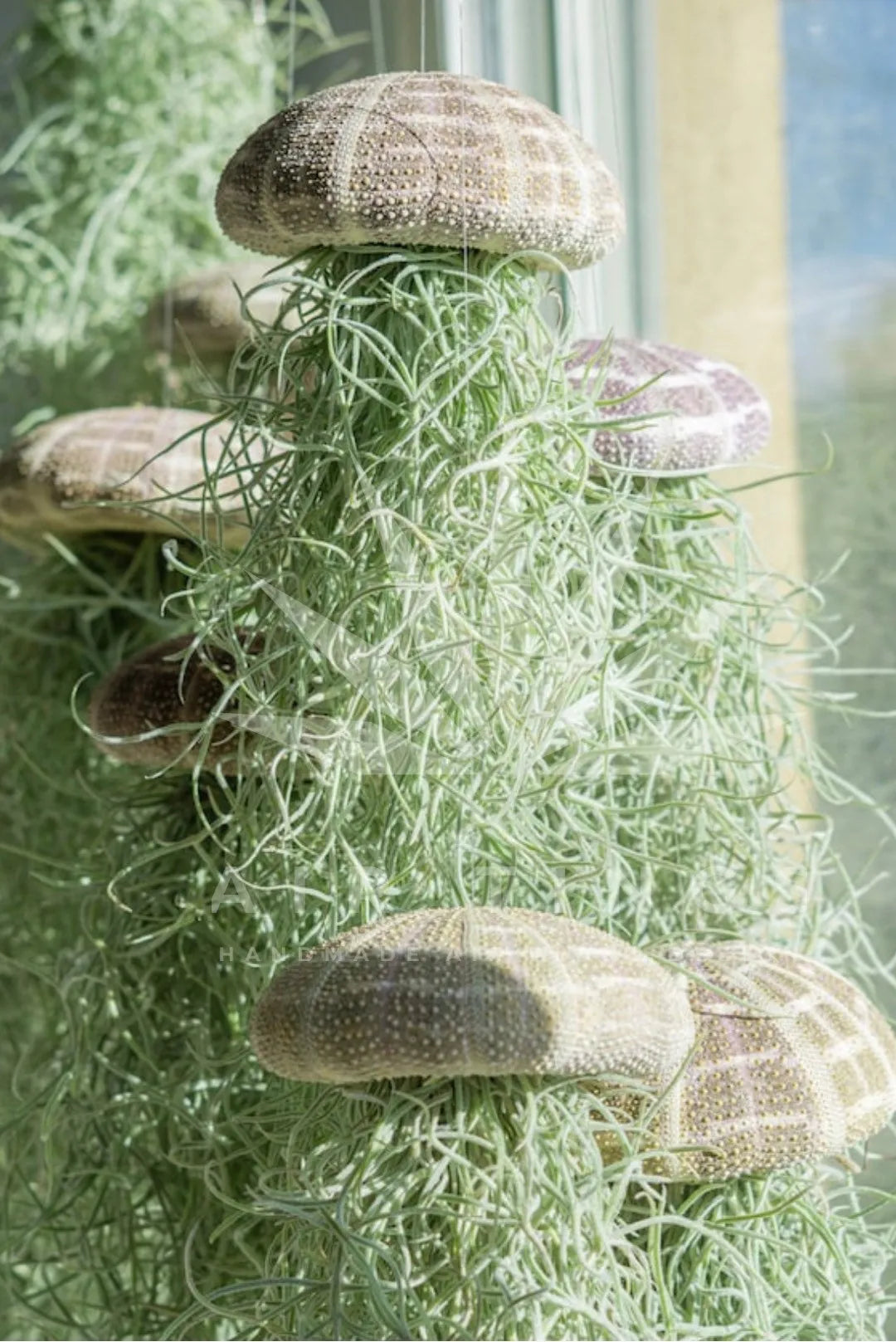 Hängande maneter luftväxthållare - Flytande terrariumdekor för modernt hem och kontor