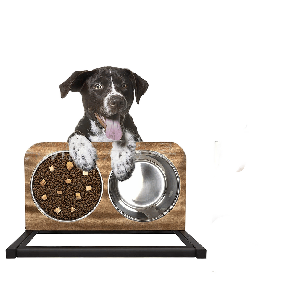 Höjdjusterbar matstation för husdjur – Premium upphöjd hundskål med stålskålar