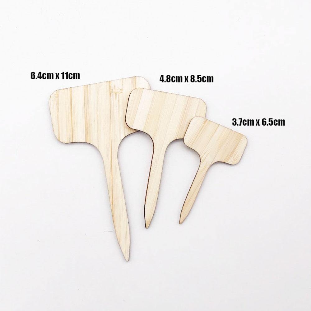 Etikett för träväxter