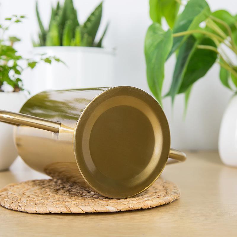 Premiumvattenkanna i rostfritt stål – hållbart och snyggt trädgårdsredskap