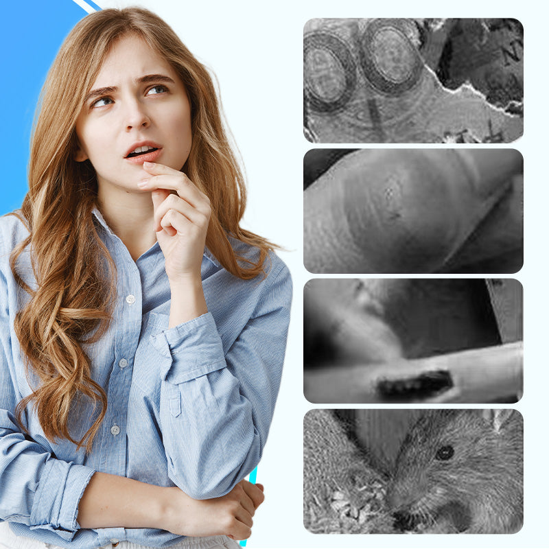 Säkert ultraljudsskydd mot gnagare – Kemikaliefri skadedjursbekämpning för inomhusutrymmen