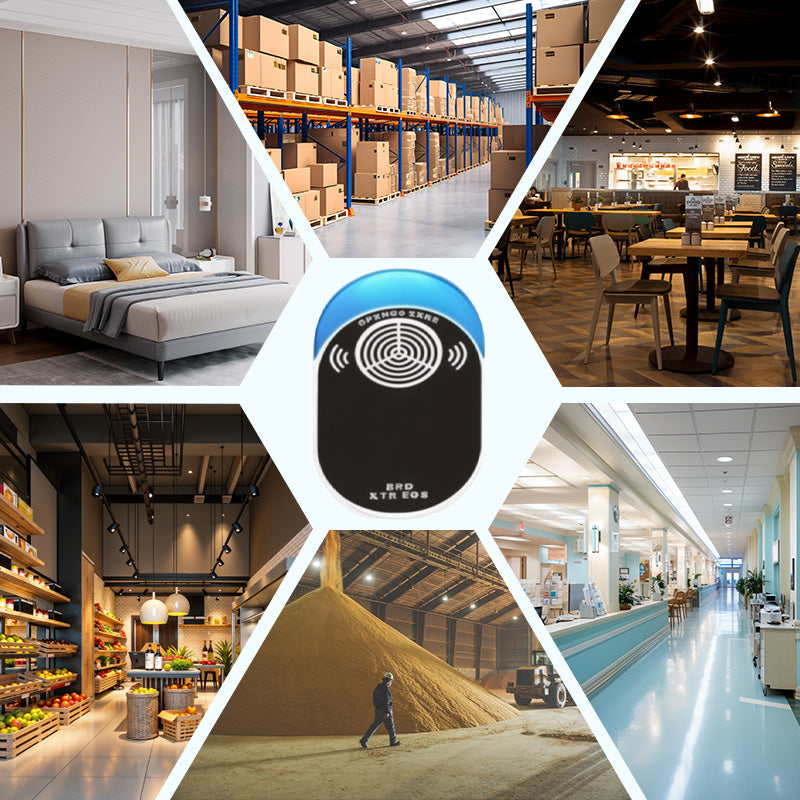 Säkert ultraljudsskydd mot gnagare – Kemikaliefri skadedjursbekämpning för inomhusutrymmen